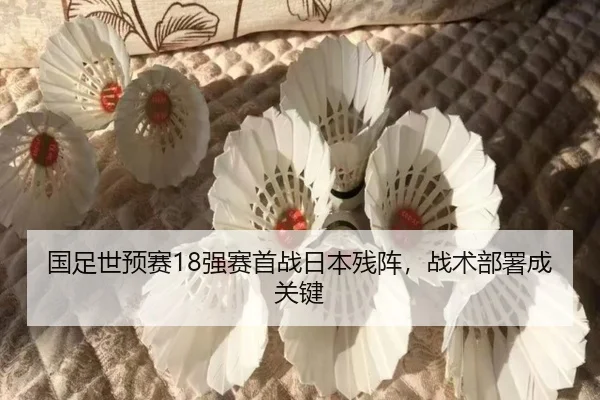 guo-zu-shi-yu-sai-qiang-sai-shou-zhan-ri-ben-can-zhen-zhan-shu-bu-shu-cheng-guan-jian-3-889.jpg